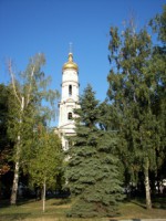 /album/foto-kharkova/kharkov-den-nezavisiosti-143-jpg/